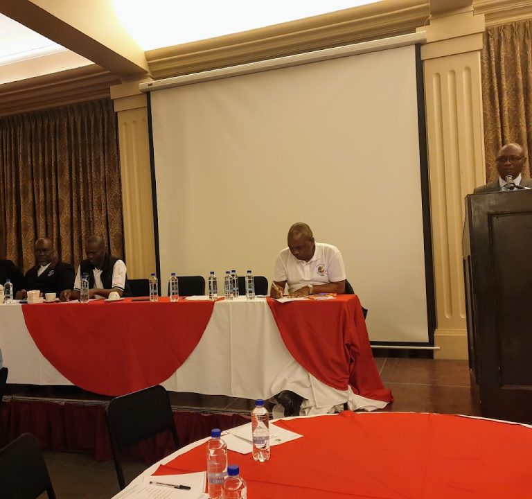 ygV12Rr6eri0VaDpbZ4vIAw1024 h960 p k nodummy 768x720